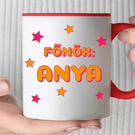 Színes bögre - főnök: anya