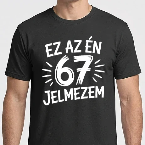 Férfi Imperial póló - 67