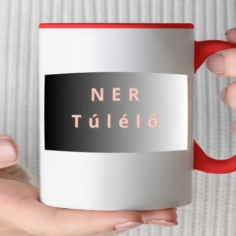 Színes bögre - NER túlélő