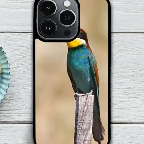 iPhone telefontok - Gyurgyalag-színes madár