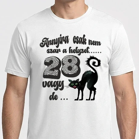 Férfi Imperial póló - annyira csak nem szar a helyzet, szülinapi minta fekete macskával, 28 éves szülinap