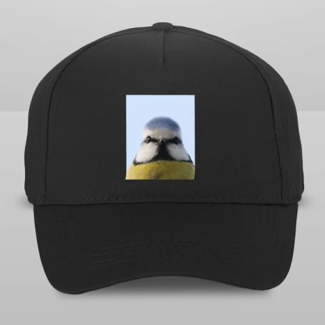 Baseball sapka - Kékcinege-Blue tit portré