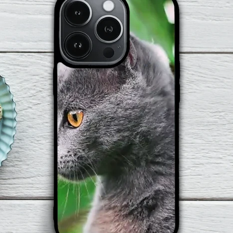 iPhone telefontok - Szürke macska a levelek között